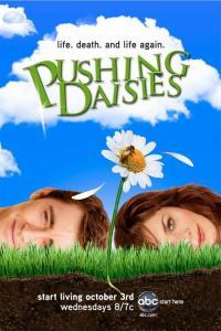 Pushing Daisies 2007 Season 1 2 S01 S02 1080p BluRay x265 HEVC 10bit AC3 5 1 Silence QxR
