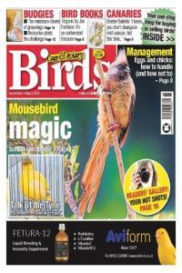 Cage Aviary Birds Issue 6262 May 03 2023 DevCourseWeb