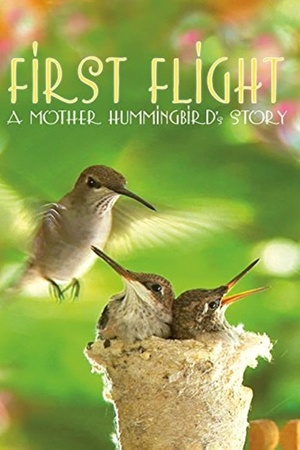 First Flight: A Mother Hummingbird's Story 2009 1080p web YTS