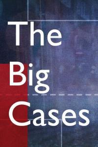 The Big Cases 2022 S01 S02 720p WEB DL H264 BONE