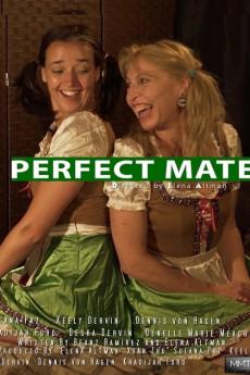 Perfect Mate 2017 720p web YTS