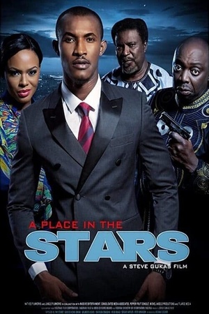 A Place in the Stars 2014 1080p web YTS