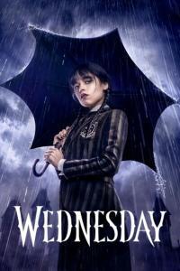 Wednesday Mercoledi S01 ITA ENG 2160p NF WEB DL DDP5 1 DV HDR H 265 gattopollo