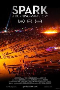 Spark: A Burning Man Story 2013 720p web YTS