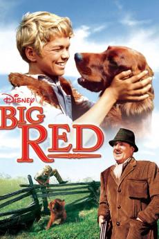 Big Red 1962 720p web YTS