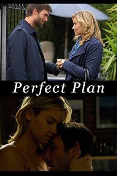 Perfect Plan 2010 720p web YTS