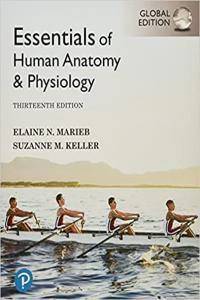 Essentials of Human Anatomy Physiology Global Edition 13th Edition FreeCourseWeb