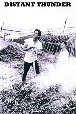 Distant Thunder 1981 1080p bluray YTS