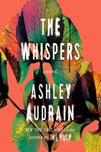 Ashley Audrain The Whispers