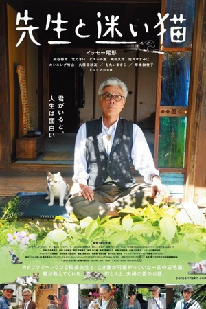 Teacher and Stray Cat 2015 1080p bluray YTS