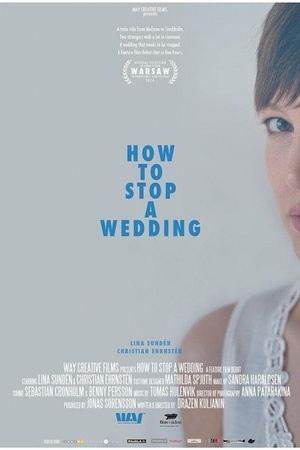 How to Stop a Wedding 2014 1080p web YTS