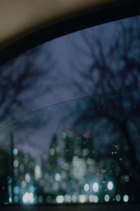 Natural Wonder Beauty Concept Natural Wonder Beauty Concept 2023 24Bit 44 1kHz FLAC PMEDIA