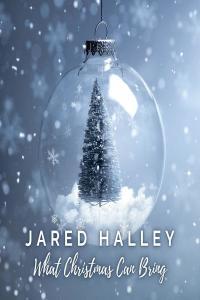Jared Halley What Christmas Can Bring 2021 Musica d ambiente New Age Flac 24 44