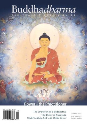 Buddhadharma The Practitioner s Quarterly Summer 2023