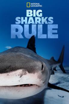 Big Sharks Rule 2018 720p web YTS