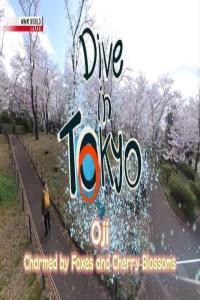 NHK Dive in Tokyo 2023 Charmed by Foxes and Cherry Blossoms 720p HDTV x265 AAC MVGroup org mkv