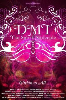 DMT: The Spirit Molecule 2010 720p web YTS