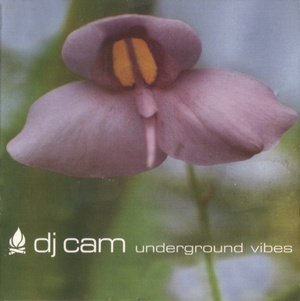 DJ Cam Underground Vibes 1995 FLAC
