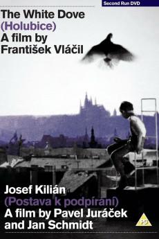 Joseph Kilian 1963 720p bluray YTS