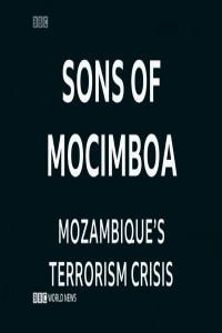 BBC Africa Eye 2021 Sons of Mocimboa 1080p HDTV x265 AAC MVGroup org mkv