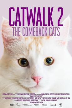 Catwalk 2: The Comeback Cats 2022 720p web YTS