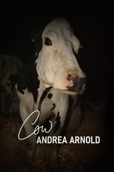 Cow 2021 2160p web YTS