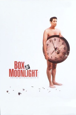 Box of Moonlight 1996 1080p web YTS