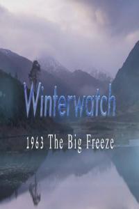 BBC Winterwatch 1963 The Big Freeze 720p HDTV x264 AAC MVGroup org mkv