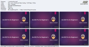 Udemy ArcGIS Pro for Beginner s