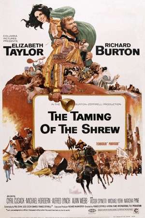 The Taming of The Shrew 1967 1080p web YTS