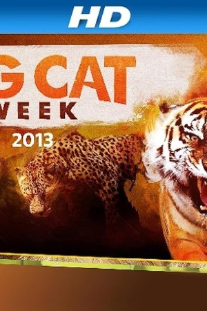 Big Cat Week Big Cat Games 2015 1080p web YTS