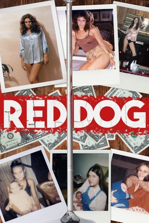 Red Dog 2019 1080p web YTS