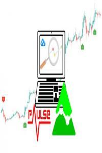 Udemy Tradingview Pine Script Strategies The Complete Guide