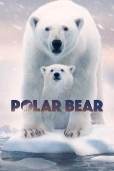 Polar Bear 2022 2160p web YTS