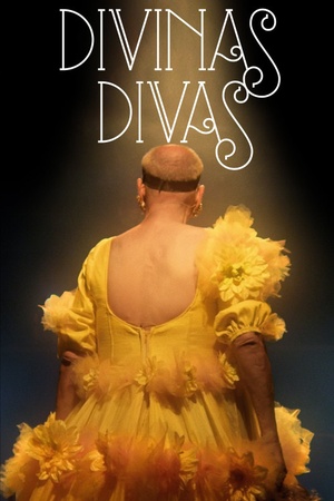 Divine Divas 2016 1080p web YTS