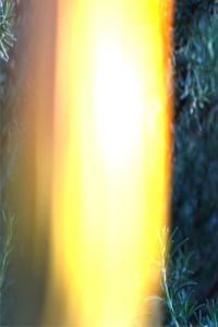 Shelf Nunny An Open Book 2023 24Bit 44 1kHz FLAC PMEDIA