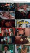 Naughty Network 1981 DVDRip x264 worldmkv