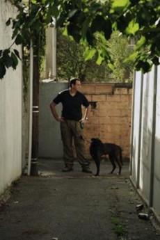 Un dimanche matin 2012 720p bluray YTS