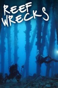 Reef Wrecks S01E01 Reef Wrecks of Bonaire 1080p AMZN WEB DL DDP2 0 H 264 NTb TGx
