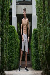 BODY SHRED Lose Fat Build Muscle in 12 Weeks