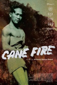 Cane Fire 2020 720p web YTS