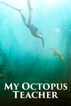 My Octopus Teacher 2020 720p web YTS