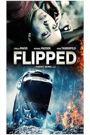 Flipped 2015 1080p web YTS