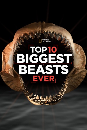 Top 10 Biggest Beasts Ever 2015 1080p web YTS
