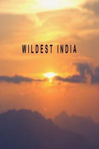Wildest India Series 1 5of5 Indias Lost World 1080p HDTV x264 AAC MVGroup org mp4