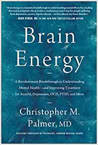 Brain Energy A Revolutionary Breakthrough in Understanding Mental Health by Christopher M Palmer E