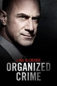 Law and Order Organized Crime S03E20 Pareto Principle 1080p AMZN WEBRip DDP5 1 x264 NTb TGx