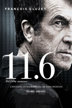 11.6 2013 1080p bluray YTS