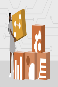 CompTIA Data DA0 001 Cert Prep The Basics