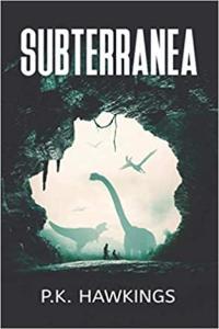 2 Novels by P K Hawkins